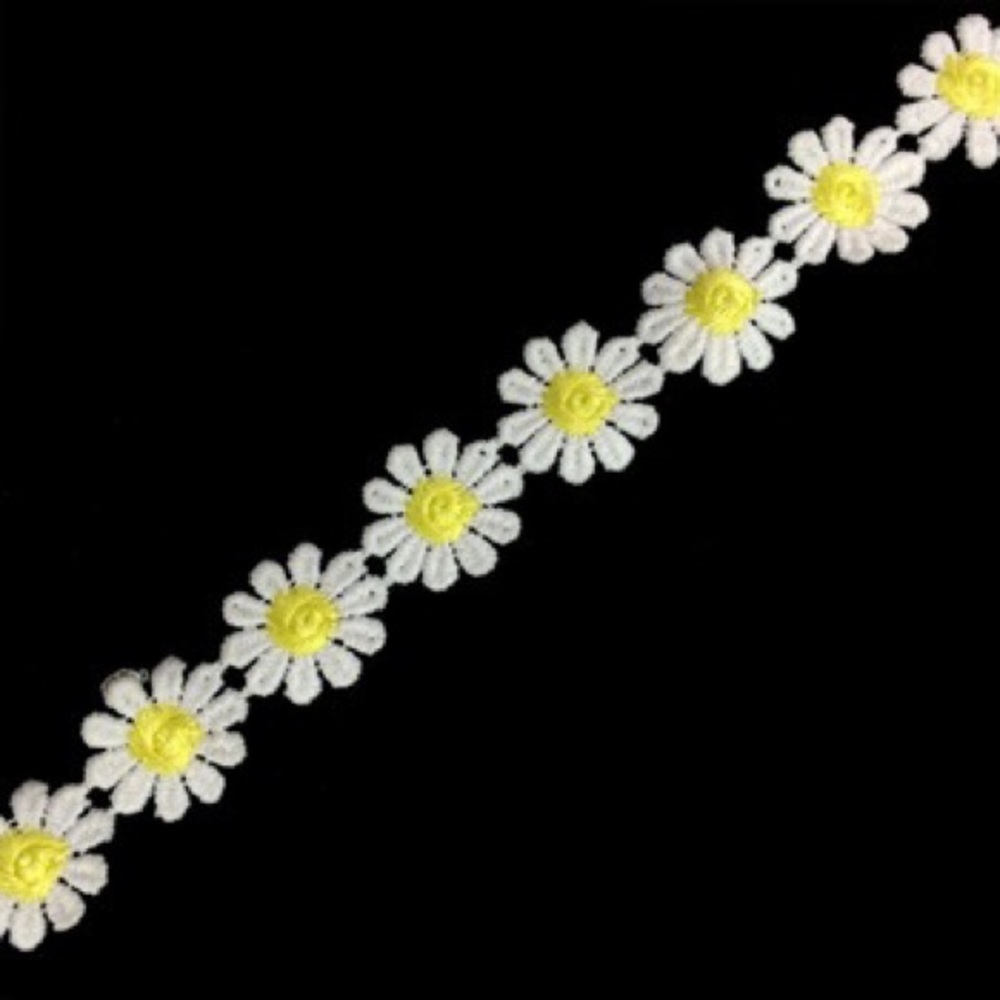 Meet your Posher, Daisy